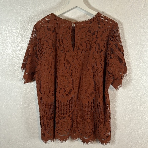 Savanna Jane Rust Brown Lace Blouse Size 2X Boho Career Fall Romantic - Picture 5 of 7